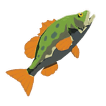 fish
